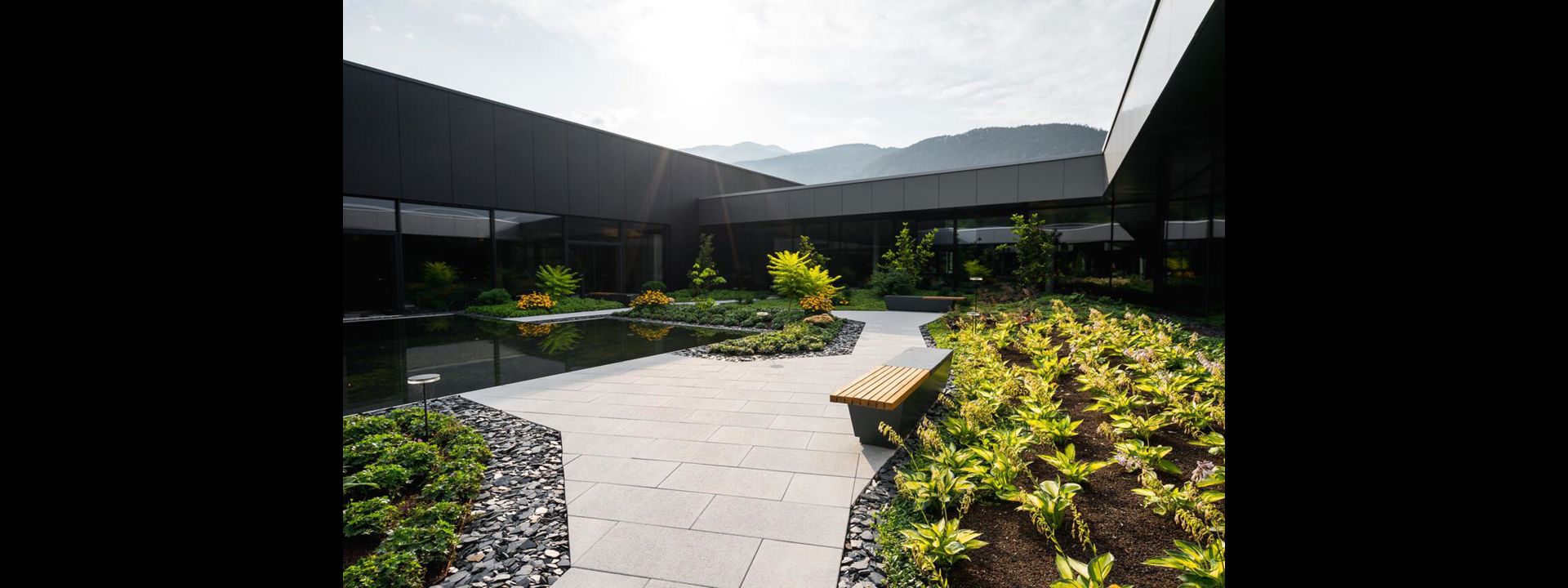 -argento-artistry-dsc2250-easy-resize-com